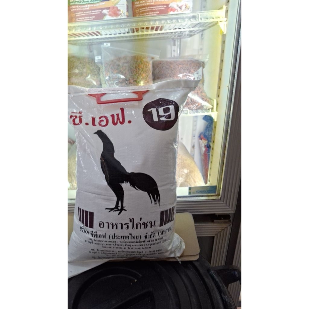 อาหารไก่ชน cf 19  สำหรับไก่ชนตัวผู้ อายุ 3เดือนถึง10เดือน