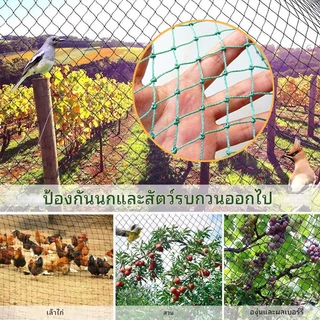 ตาข่ายล้อมไก่ อวนล้อมไก่ ตาข่ายไก่ อวนปลูกผัก ตาข่ายไนล่อน ตาข่ายกันนก เลี้ยงไก่เพื่อป้องกันการหลบ