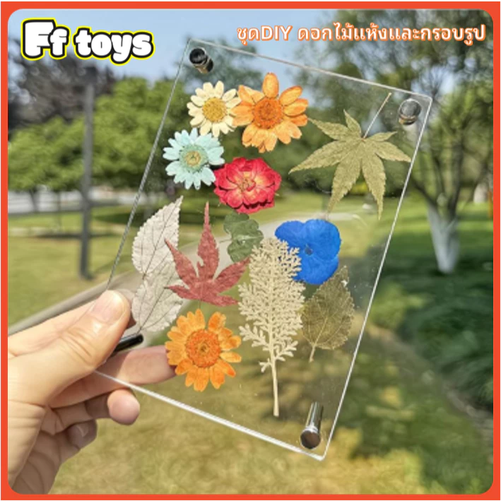 เซตกรอบรูปอะคริลิค 6 นิ้ว พร้อมชุดดอกไม้แห้ง DIY thumbnail 5