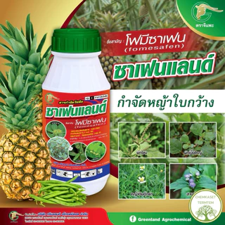 จี-ซี-ฟอบ+ซาเฟนแลนด์ ยาฆ่าหญ้าใบแคบ+ใบกว้าง ฉีดพ่นวัชพืชแปลงสัปประรด 👉👉1 ชุดผสมน้ำ ได้ 1,000 ลิตร