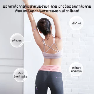 ยางยืดออกกำลังกาย แถบต้านทานรูปเลขแปด ตัวดึงแปดตัวอักษร การฝึกโยคะ อุปกรณ์ฝึกหลังที่สวยงาม ยืดหยุ่นดี ไม่ขาดง่าย