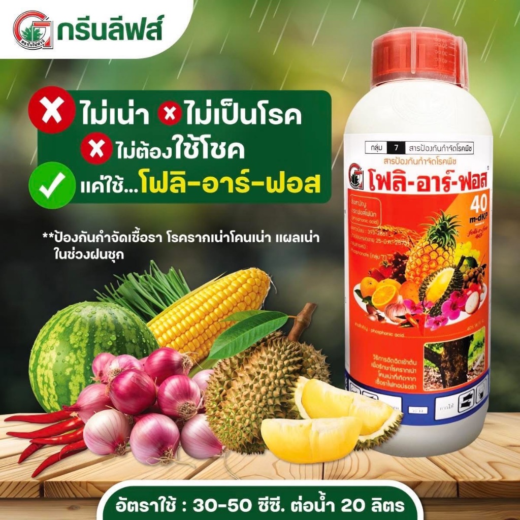 โฟลิอาร์ฟอส 40 ( 1 ลิตร ) กรดฟอสโฟนิก ต้นตำรับฝังเข็ม ทุเรียน ใช้กำจัดเชื้อรารากเน่า โคนเน่า ยอดเน่า