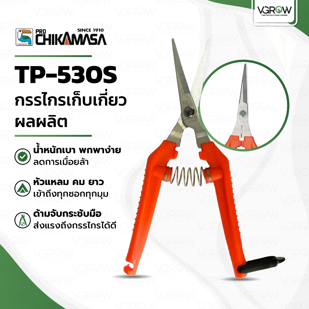 Chikamasa TP-530S กรรไกรเก็บเกี่ยวผลผลิต ชิกามาสะ กรรไกรคุณภาพสูงจากประเทศญี่ปุ่น กรรไกรชิกามาสะ
