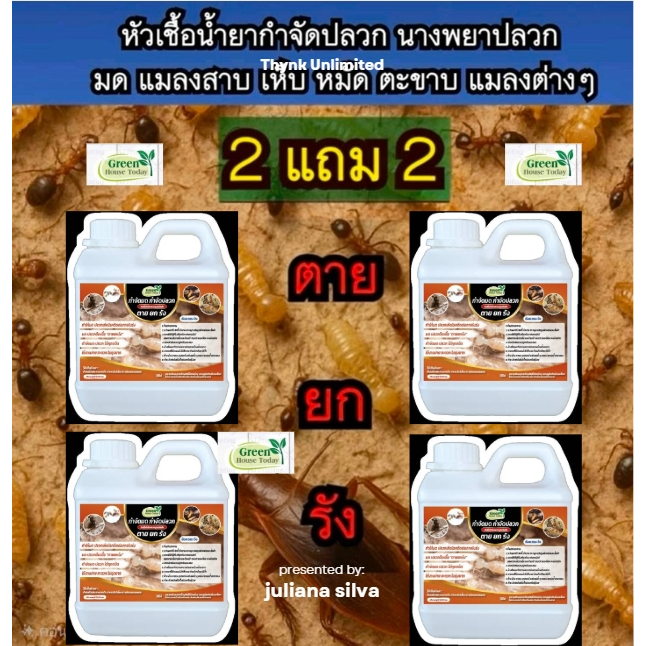 น้ำยากำจัดปลวก 2แถม2 4แกลอน 4ลิตร กำจัดมด มด เห็บ หมัด แมลงทุกชนิด ตะขาบ กิ้งกือ เห็นผมทันที