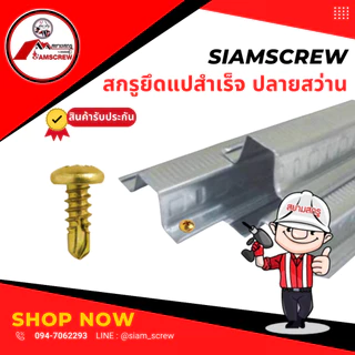 สกรูยึดแป ยิงแปสำเร็จปลายสว่าน(100ตัว)