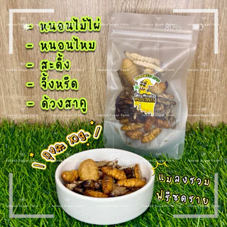 🦗🐛แมลงรวมฟรีซดราย หนอนไม้ไผ่ หนอนไหม สะดิ้ง จิ้งหรีด ด้วงสาคู น้ำหนัก 10g.