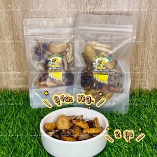 🦗🐛แมลงรวมฟรีซดราย หนอนไม้ไผ่ หนอนไหม สะดิ้ง จิ้งหรีด ด้วงสาคู น้ำหนัก 10g.