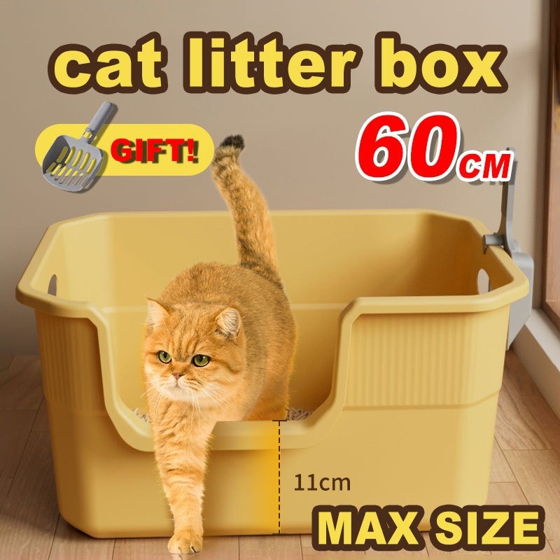 รูปภาพ 2