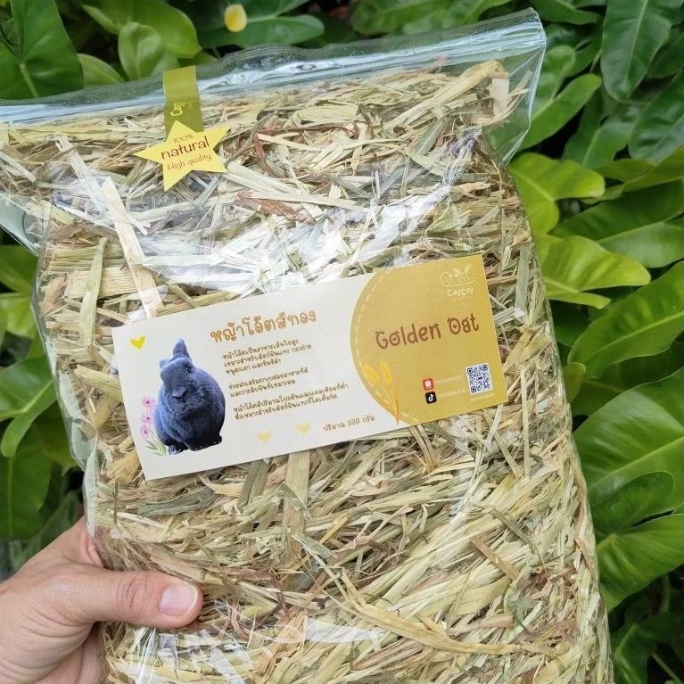 caycay golden oat โอ๊ตสีทอง หอมอร่อย ถูกใจเด็กๆสุดๆค่า🫶🏻 แบบตัดสั้นพร้อมส่งค่ะ