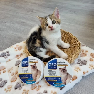 Geo the cat จีโอเดอะแคท ผงดับกลิ่นทรายแมว ตักผสมคลุกทรายแมว ดับกลิ่นใน 1 นาที กลิ่นอึ กลิ่นฉี่ สลายกลิ่นเหม็น กลิ่นสาบ