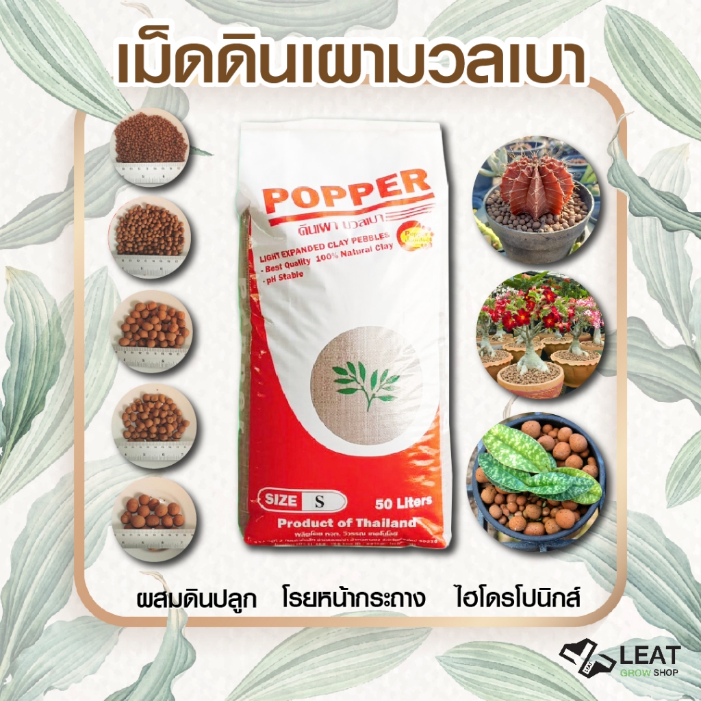 Popper  ป๊อปเปอร์ เม็ดดินเผามวลเบา ผสมดินปลูก โรยหน้ากระถาง รองก้นกระถาง ไฮโดรโปนิกส์