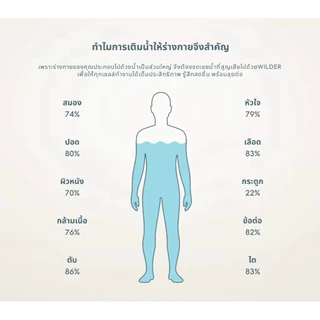 ยกกล่อง WILDER PERFORMANCE HYDRATION ผงชงดื่ม เพิ่มอิเล็กโทรไลต์เติมความสดชื่นและความสมดุลให้ร่างกาย