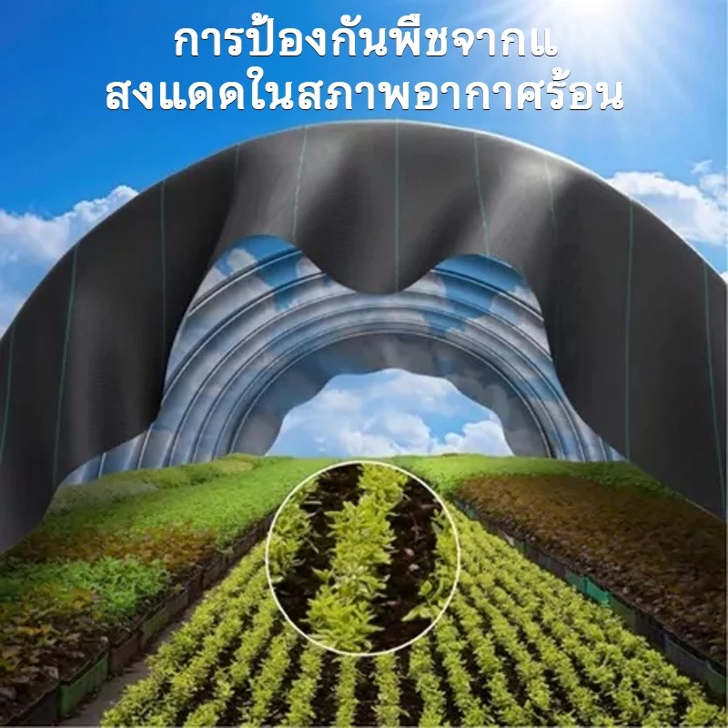 พลาสติกคลุมวัชพืช ผ้าคลุมหญ้า ผ่านการทดลองใช้งานจริง ฆ่าหญ้า1×5 1×20 2×50 1×100 2×100 3×100 กำจัดหญ้า พลาสติกคลุมดิน ราคา ถูกที่สุด ดีลบีเคเค แกลเลอรีภาพที่ 4
