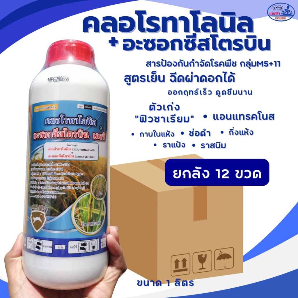 คลอโรทาโลนิล+อะซอกซีสโตรบิน 2พลังบวก**ขายยกลัง12ขวด ขนาด1ลิตร ตัวเก่ง ฟิวซาเรียม ไฟทอปธอร่า ผลเน่า แอนแทรคโนส