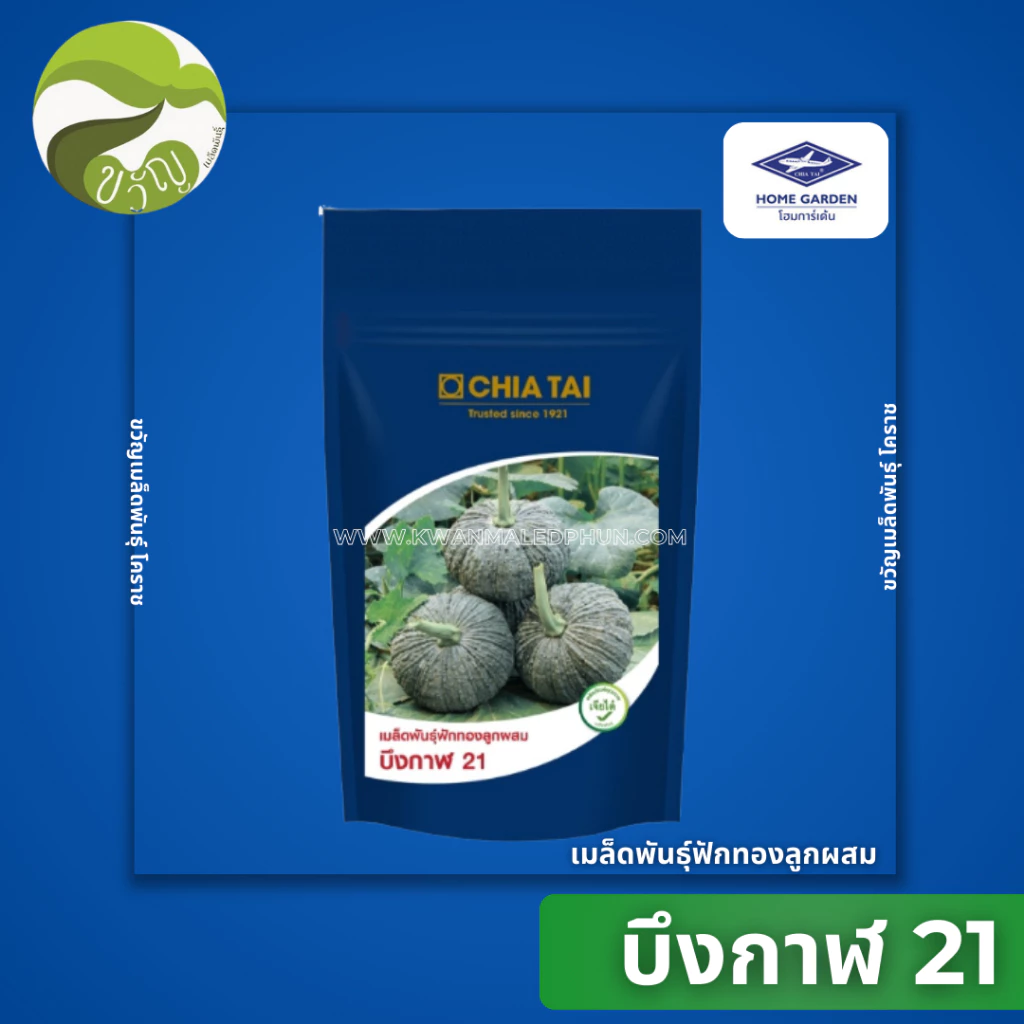 เมล็ดพันธุ์ฟักทองลูกผสม ฟักทอง บึงกาฬ 21 ตราเจียไต๋ ลอตใหม่ล่าสุด