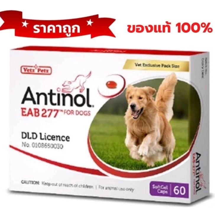 Antinol DOG อาหารเสริมบำรุงข้อ กระดูก ขน ผิวหนัง และไต (1 กล่อง 60 แคปซูล) สำหรับสุนัข