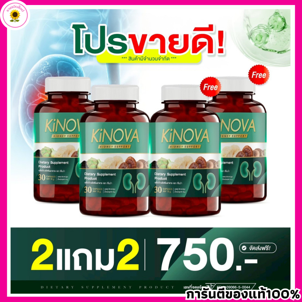 ผลิตภัณฑ์เสริมอาหาร คิโนว่า Kinova ดูแลสุขภาพไต