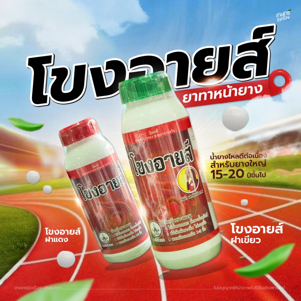 โขงอายส์ ยาทาหน้ายาง น้ำยางไหลดีต่อเนื่อง สำหรับยางใหญ่ 15-20 ปีขึ้นไป  ปริมาณ 500 cc.