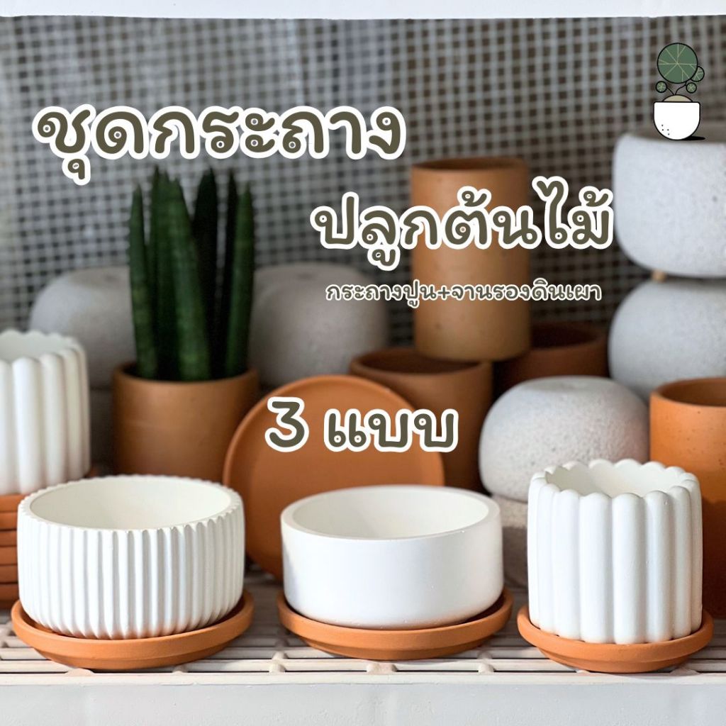 ชุดกระถางต้นไม้ กระถางปูนสีขาว+จานรองดินเผา มี 2 ขนาด กระถาง3นิ้วและ4นิ้ว