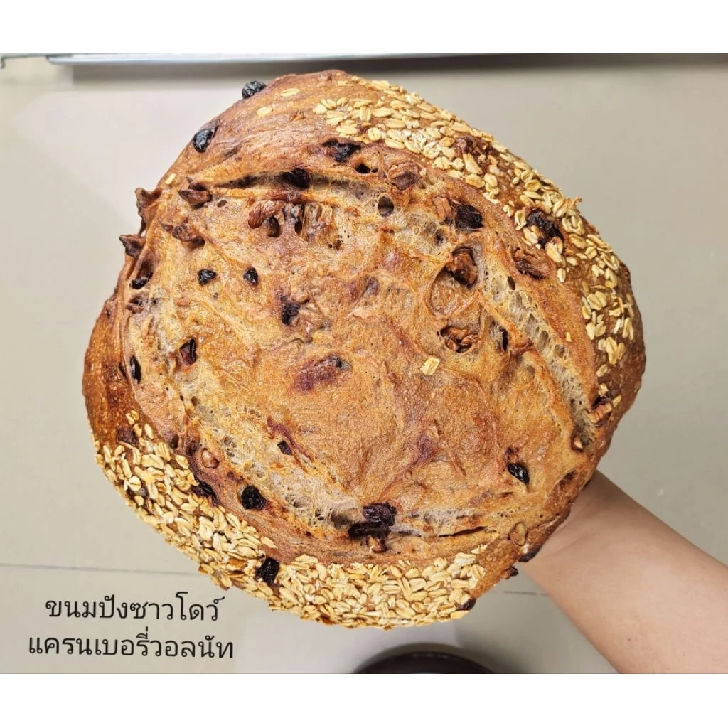 ขนมปังซาวโดว์แครนเบอรี่วอลนัท(ผสมแป้งโฮลวีท)ขนาด1100กรัม(Cranberries Walnuts Sourdough Bread
