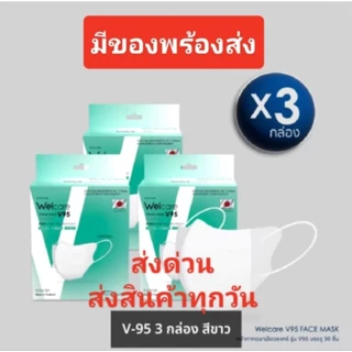Welcare Face Mask V95 หน้ากากกรองฝุ่นเวลแคร์ รุ่น V95 จำนวน30ชิ้น (3กล่อง)