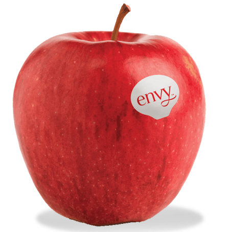 Apple Envy แอปเปิ้ลเอนวี่พรีเมียม หวานกรอบ🍎
