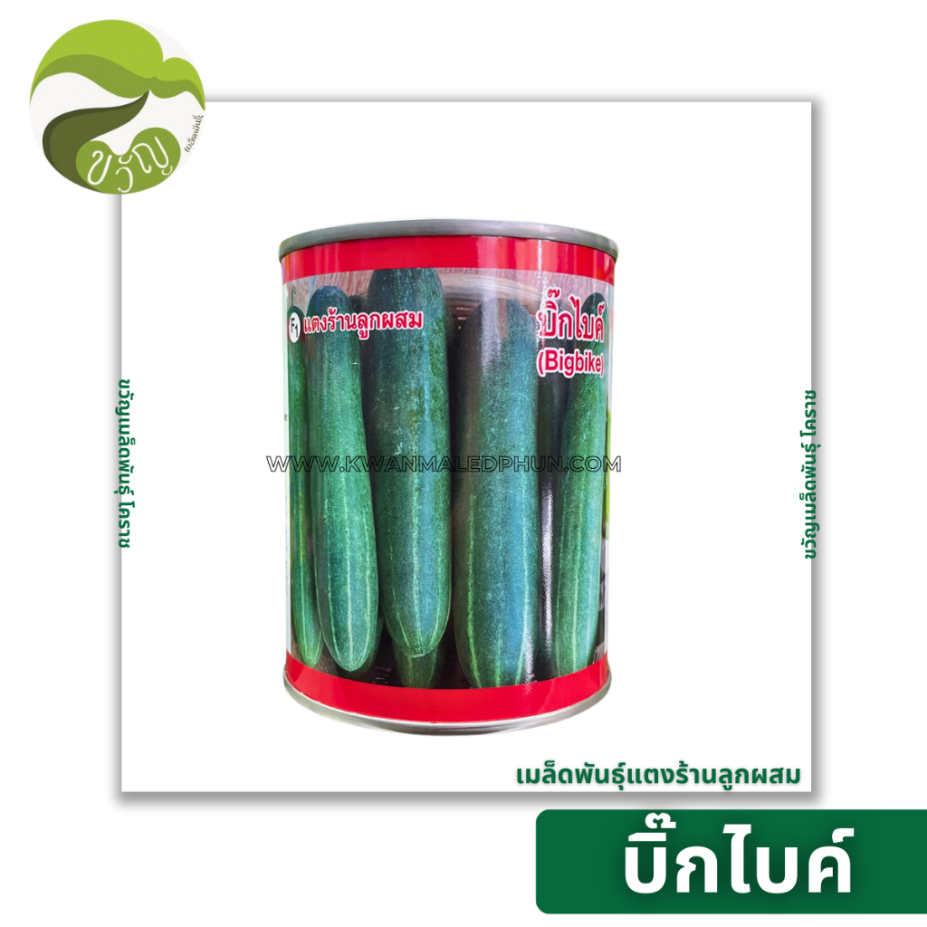 เมล็ดพันธุ์แตงร้านลูกผสม บิ๊กไบท์ ขนาด 100 กรัม ลอตใหม่ ของเข้าล่าสุด
