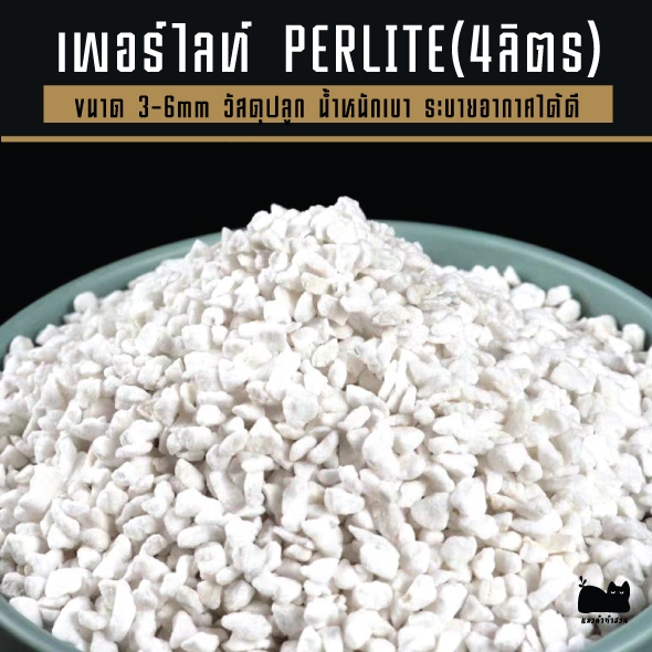 เพอร์ไลท์ perlite บรรจุ 4 L ขนาด3-6mm สินค้าคุณภาพ  เป็นวัสดุปลูก เหมาะกับพืชทุกชนิด
