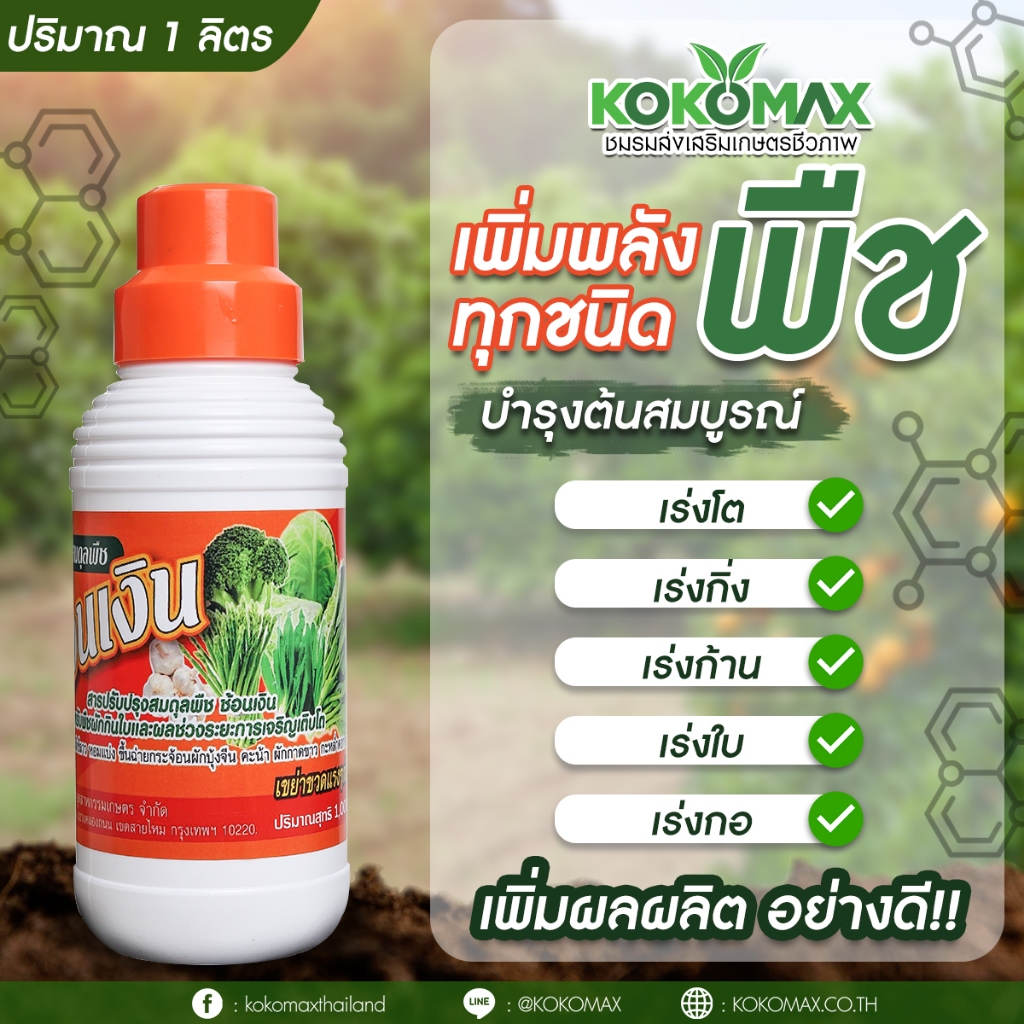 ปุ๋ย ฉีดทางใบ เร่งต้น เร่งเขียว เร่งโต อย่างดี ซื้อ 5 แถม 1
