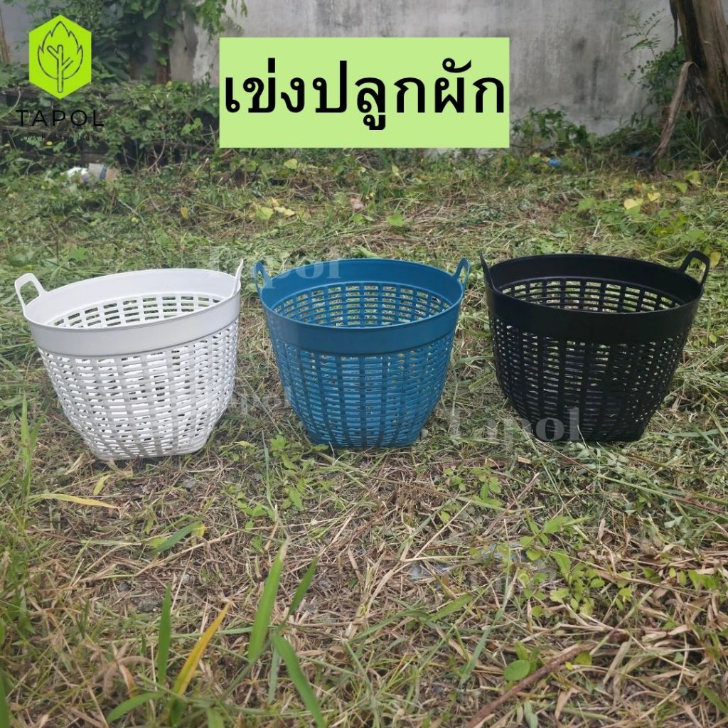 เข่งปลูกผัก เข่งพลาสติก เบอร์ 7 มี 3 สี ขาว / ดำ / เทา ตะกร้าพลาสติก ขนาดกำลังดี ระบายน้ำได้ดี - รูปที่ 2