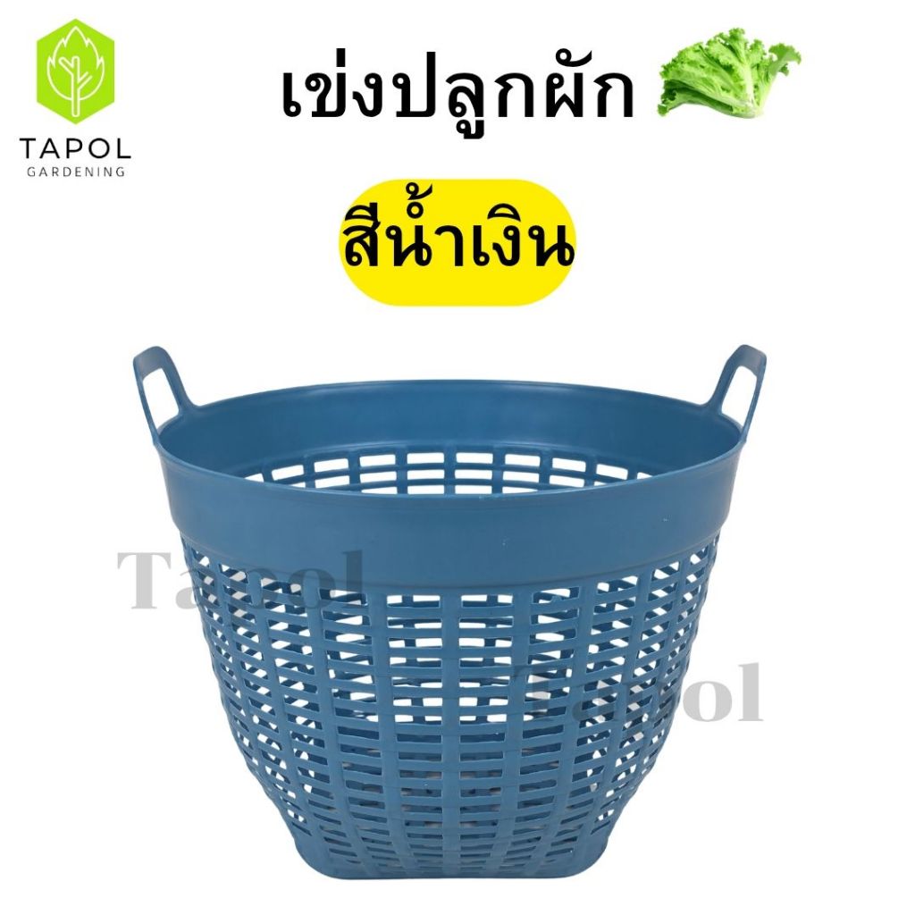 เข่งปลูกผัก เข่งพลาสติก เบอร์ 7 มี 3 สี ขาว / ดำ / เทา ตะกร้าพลาสติก ขนาดกำลังดี ระบายน้ำได้ดี - รูปที่ 5