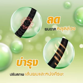 ดอกบัวคู่ แชมพูสูตรธรรมดา, แชมพูสูตรเอ็กซ์ตร้า, แฮร์โทนิคสมุนไพร สำหรับผู้ที่มีปัญหาผมขาดหลุดร่วง
