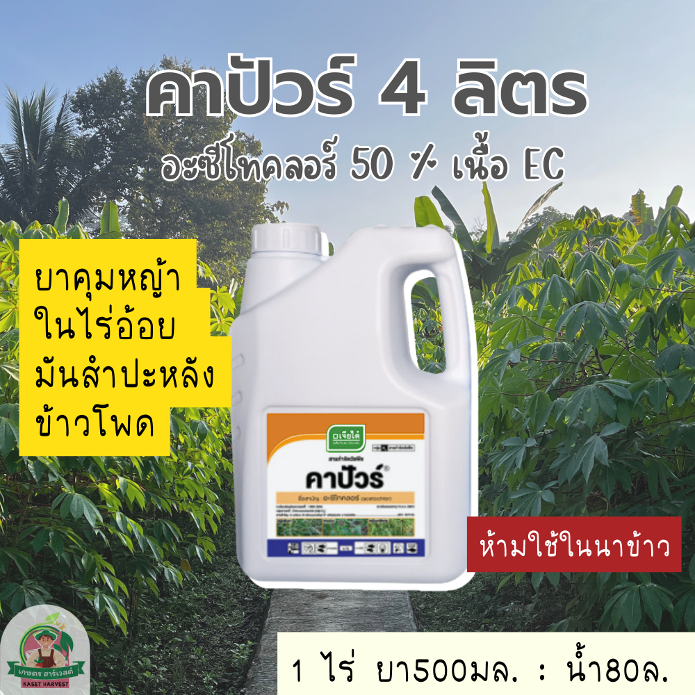 คาปัวร์ 4 ลิตร อะซีโทคลอร์ เจียไต๋ ยาฆ่าหญ้าใบแคบใบกว้างในไร่อ้อย ข้าวโพด มัน