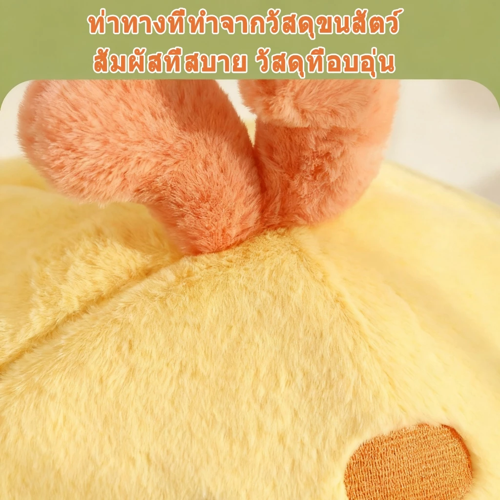 บ้านแมว ที่นอนสัตว์เลี้ยง กึ่งปิด ถอดซักได้ thumbnail 6