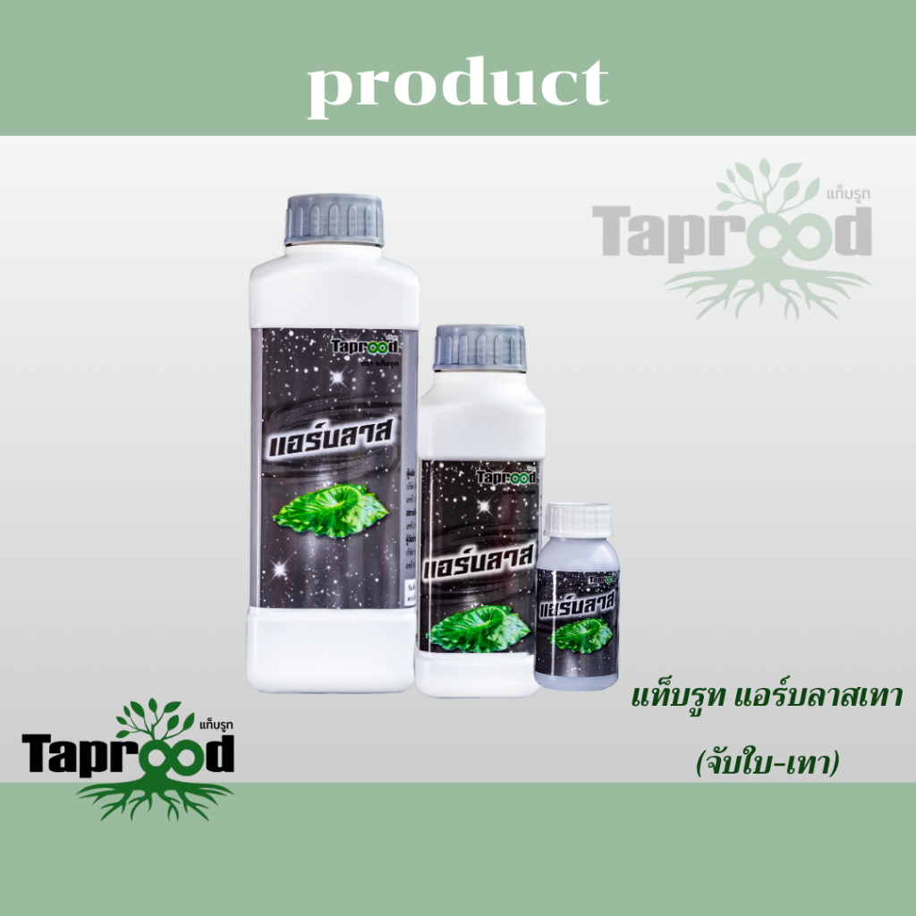 แอร์บลาสเทา (จับใบเทา)