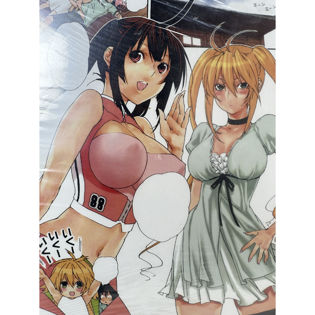 📜✨ แผ่นโปสเตอร์อนิเมะ Sekirei (เซคิเร) ✨📜 ขนาด A3 เต็มตา ภาพสวยคมชัด 🎨