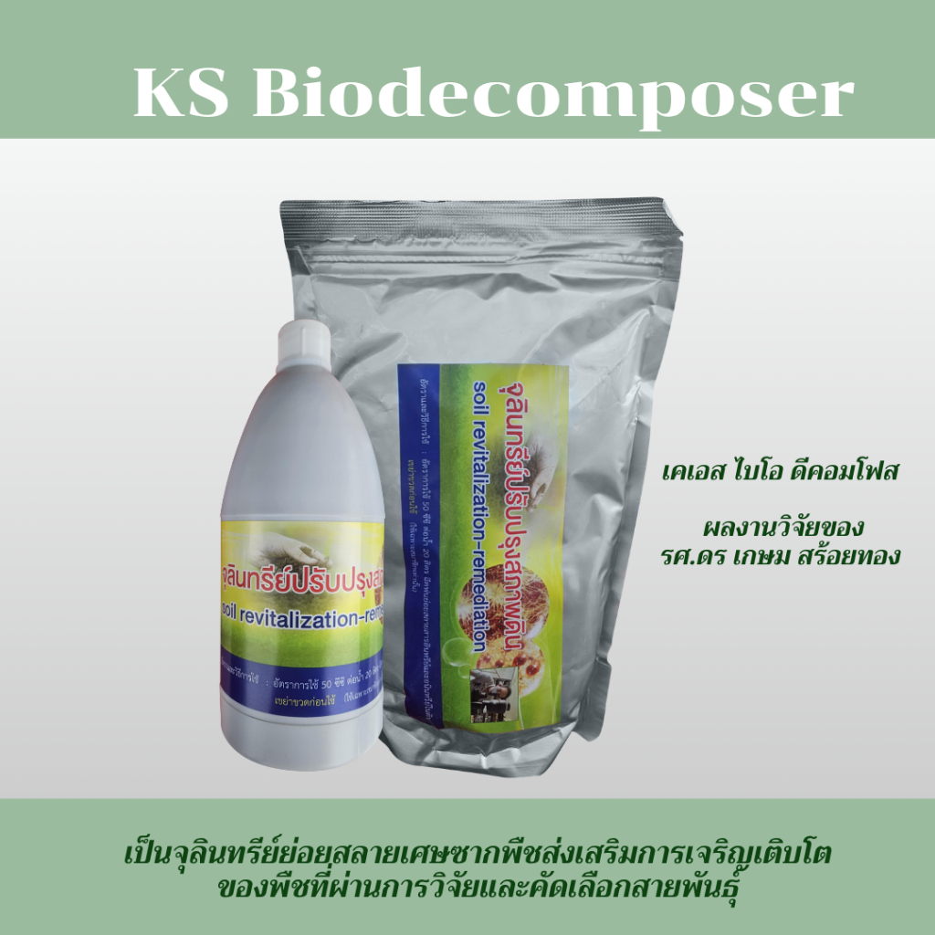 KS Biodecomposer เป็นจุลินทรีย์ย่อยสลายเศษซากพืชส่งเสริมการเจริญเติบโตของพืช