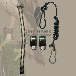 ชุดล่ามเหยี่ยวขนาดใหญ่ ดำท้องขาว ต่างสี