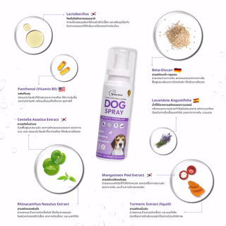 Goodboss Dog Spray สเปรย์สำหรับสุนัข เชื้อรา ยีสต์ ลดอาการคัน ขนร่วง ผลิตภัณฑ์ออแกนิค
