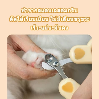 กรรไกรตัดเล็บ แมว กรรไกรตัดเล็บสุนัข ที่ตัดเล็บแมว สุนัขเล็ก ใช้ง่ายแม้มือใหม่ ใบมีดสแตนเลสทนทาน ใช้งานง่าย กรรไกรตัด