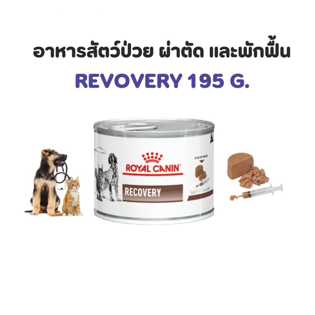 (หมดอายุ:  27/09/2027)  royal canin อาหารสัตว์ป่วย พักฟื้น และผ่าตัด recovery 3 กระป๋อง