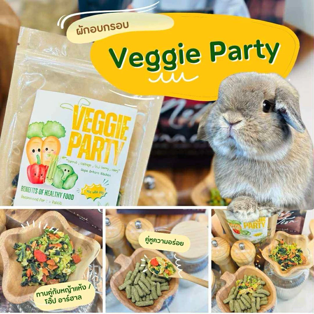 veggie party ผักรวมอบกรอบ🥕🥬