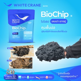 BioChip - ไบโอชิป จุลินทรีย์กำจัดของเสียที่พื้นบ่อ ลดแอมโมเน…