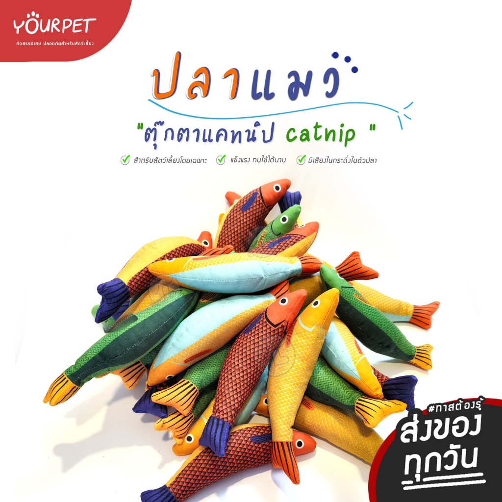 ตุ๊กตาปลาแมว ใส่แคทนิป ของเล่นแมว (ส่งของทุกวัน)