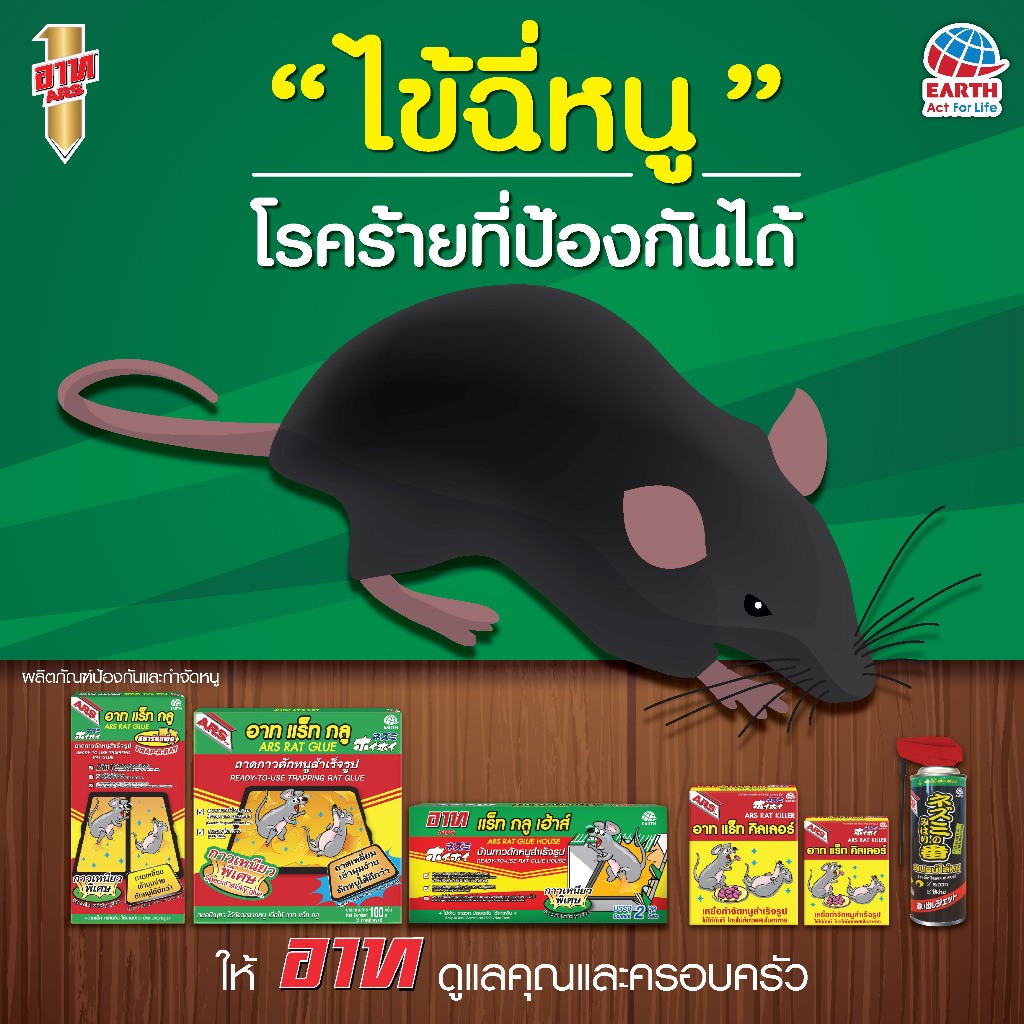 [ยกลัง 12 ถาด] อาทแร็ทกลู ถาดกาวดักหนู สำเร็จรูป 100กรัม ราคา ถูกที่สุด ดีลบีเคเค แกลเลอรีภาพที่ 3