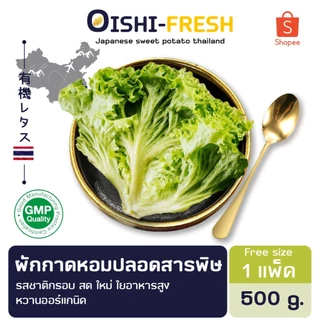🛒Oishi-Fresh 🥬ผักกาดหอมจีน ปลอดสารพิษ 1 กก. รสชาติกรอบ สด ใหม่ ใยอาหารสูง หวานออร์แกนิค เคลมได้ 1-2 วัน