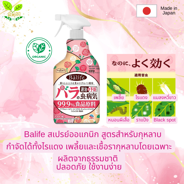 Balife สเปรย์ออแกนิกกำจัดเชื้อราและแมลง สูตรสำหรับกุหลาบ