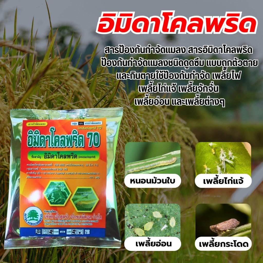 อิมิดาโคลพริด70 ขนาด 100 กรัม เอเอ ป้องกันและกำจัดเพลี้ย เพลี้ยแป้ง แมลงหวี่ขาว ไร มด