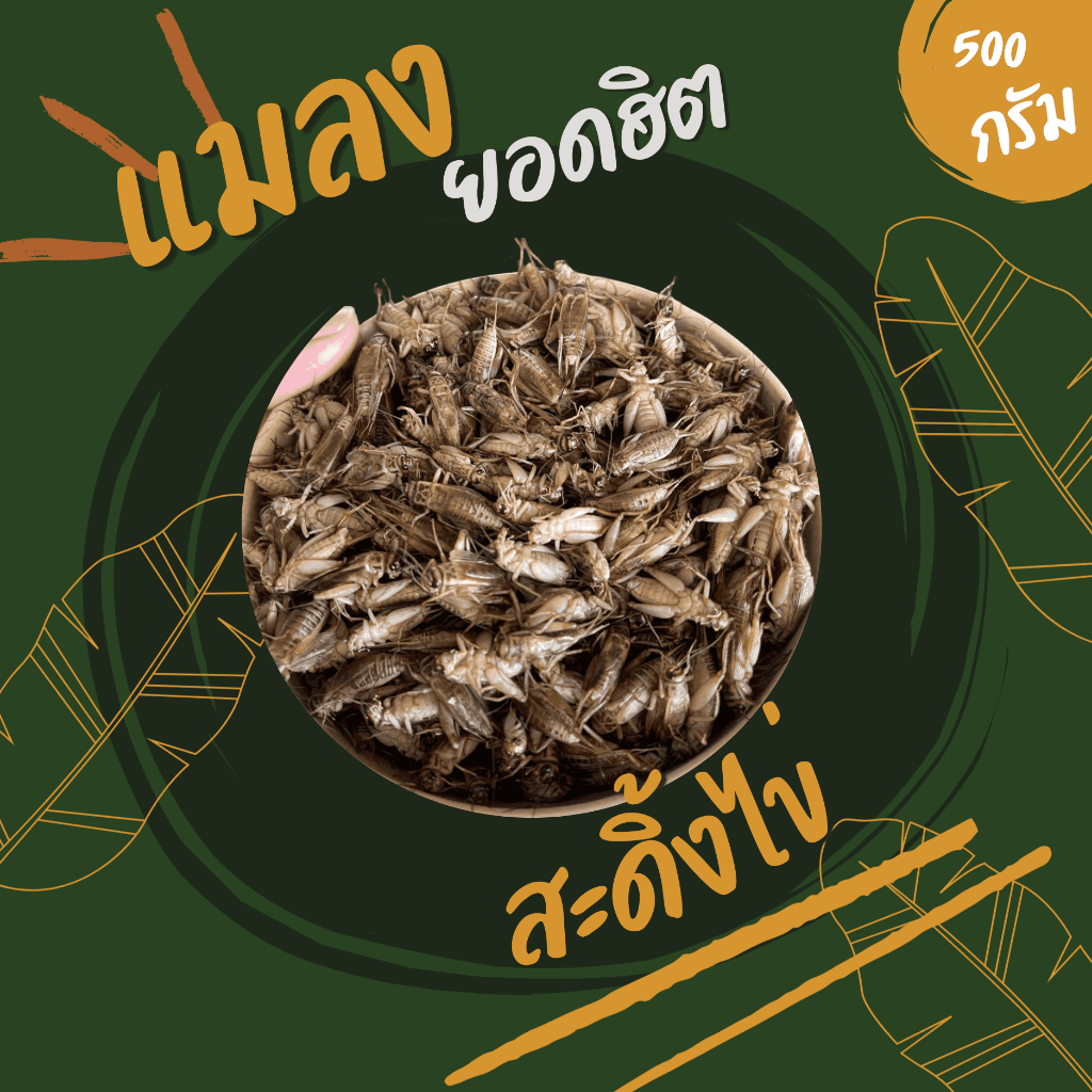 สะดิ้งไข่ (ส่งรถห้องเย็น) ค่าส่งเหมาๆ ฟรีซแข็ง สดใหม่ สะอาด ส่งตรงจากฟาร์ม