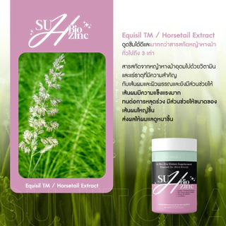 H Bio zinc เรื่องของผม 1 กระปุก 30 แคปซูล